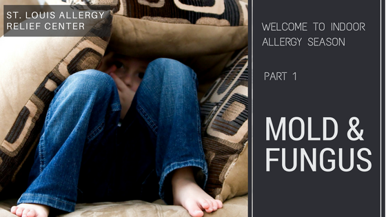 Indoor Allergy Season: Part 1